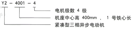 YR系列(H355-1000)高压YR6302-4/1800KW三相异步电机西安西玛电机型号说明